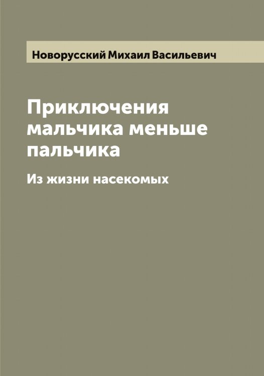 Обложка книги «Приключения мальчика меньше пальчика» — Новорусский Михаил Васильевич, ISBN 9785521254989