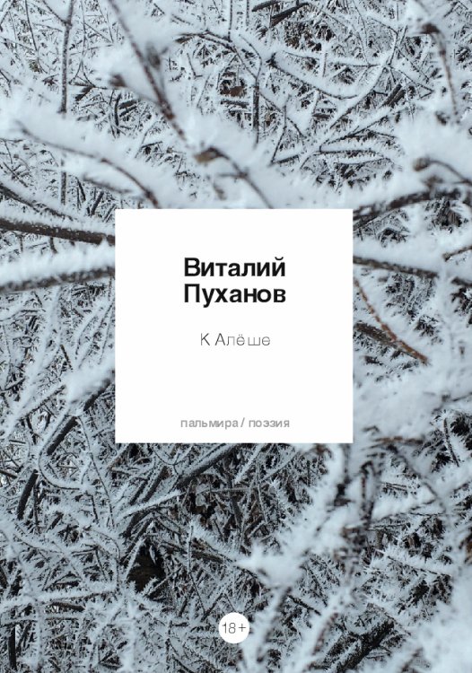 Обложка книги «К Алеше» — Виталий Пуханов, ISBN 9785517020833