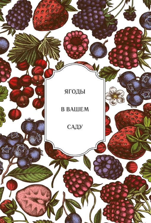 Обложка книги «Ягоды в вашем саду» — Нет автора, ISBN 9785517133014