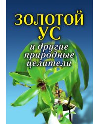 Золотой ус и другие природные целители