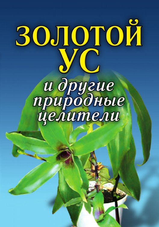 Золотой ус и другие природные целители