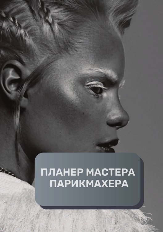 Обложка книги «Планер парикмахера» — автора нет, ISBN 9785521893812