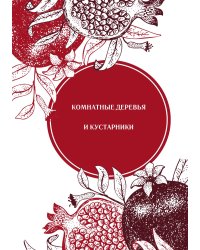 Комнатные деревья и кустарники