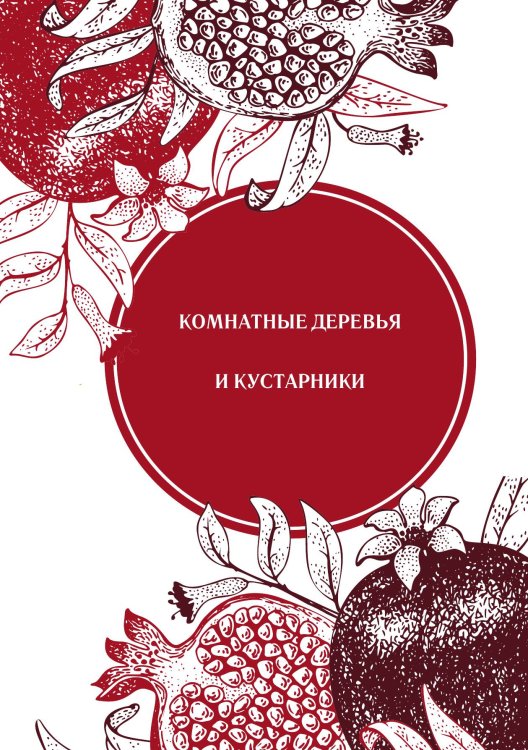 Обложка книги «Комнатные деревья и кустарники» — Нет автора, ISBN 9785517133540