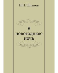 В новогоднюю ночь