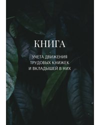 Книга учета трудовых книжек и вкладыщей к ним