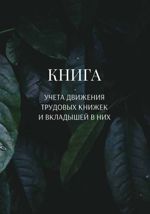 Книга учета трудовых книжек и вкладыщей к ним Обложка книги «Книга учета трудовых книжек и вкладыщей к ним» — автора нет, ISBN 9785521887699