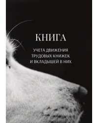 Книга учета трудовых книжек и вкладыщей к ним
