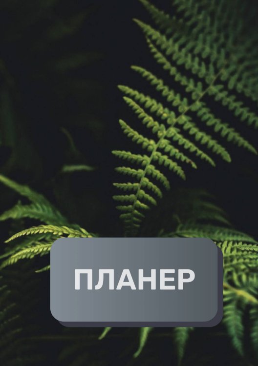 Обложка книги «Современный планер» — автора нет, ISBN 9785521894789