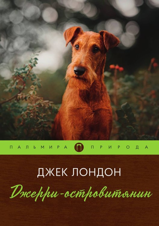Обложка книги «Джерри-островитянин» — Джек Лондон, ISBN 9785517035028