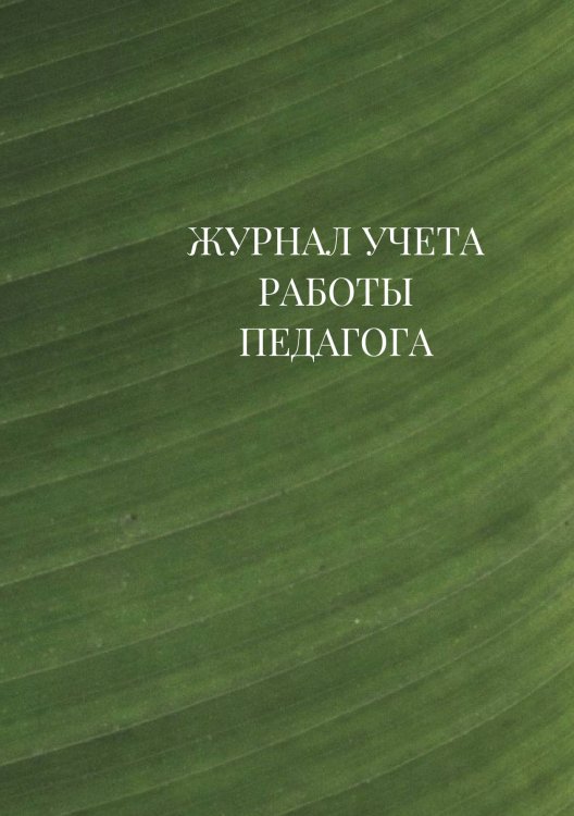 Журнал учета работы педагога дополнительного образования Журнал учета работы педагога дополнительного образования