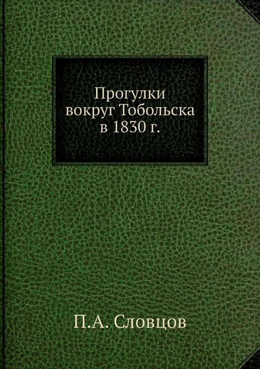 Прогулки вокруг Тобольска в 1830 г.