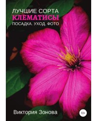 Клематисы. Лучшие сорта