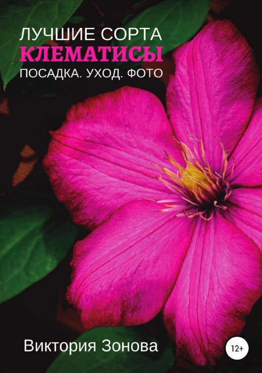 Клематисы. Лучшие сорта Обложка книги «Клематисы. Лучшие сорта» — Виктория Зонова, ISBN 9785532983151