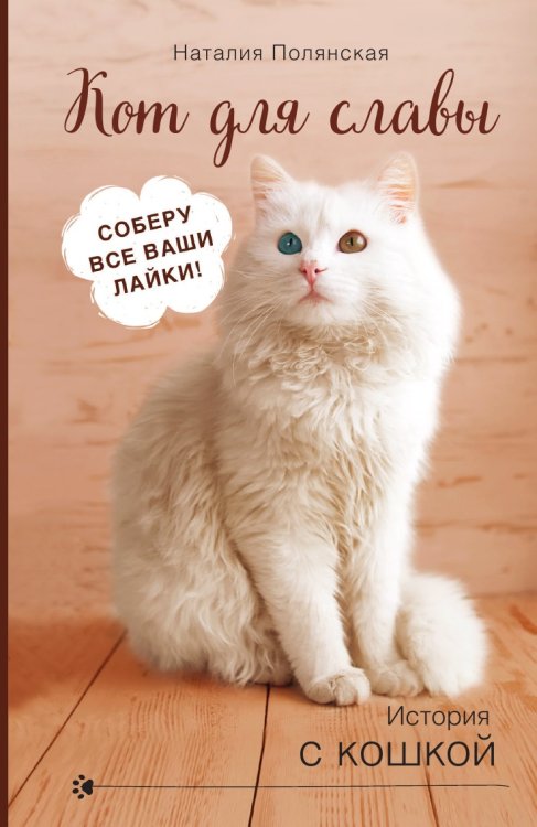 Кот для славы