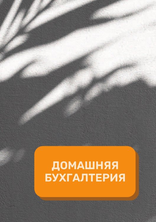 Обложка книги «Домашняя бухгалтерия на год» — автора нет, ISBN 9785521891139