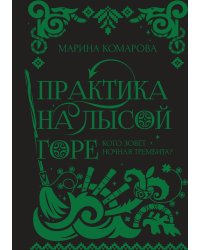 Практика на Лысой горе