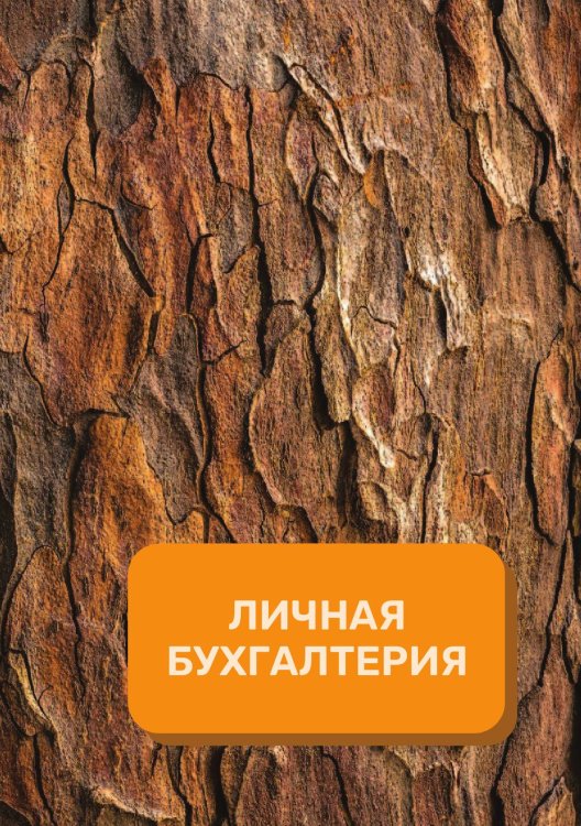 Обложка книги «Личные финансы на год» — автора нет, ISBN 9785521891290