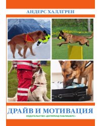 Драйв и мотивация