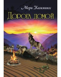 Дорога домой