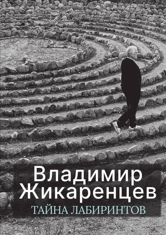 Обложка книги «Тайна лабиринтов» — Владимир Жикаренцев, ISBN 9785524022301