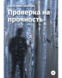 Проверка на прочность
