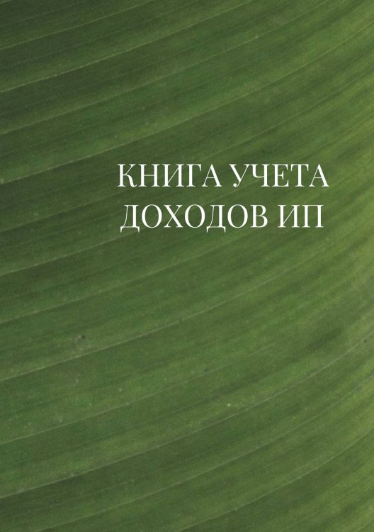 Книга учета доходов для ИП на патенте