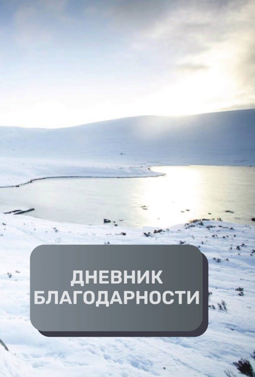 Обложка книги «Дневник благодарности, премиум (подарочное) издание, 500 страниц» — автора нет, ISBN 9785521896691