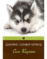 Сын Казана