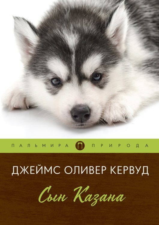 Обложка книги «Сын Казана» — Джеймс Оливер Кервуд, ISBN 9785517017727