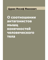 О соотношении антагонистов мышц конечностей человеческого тела