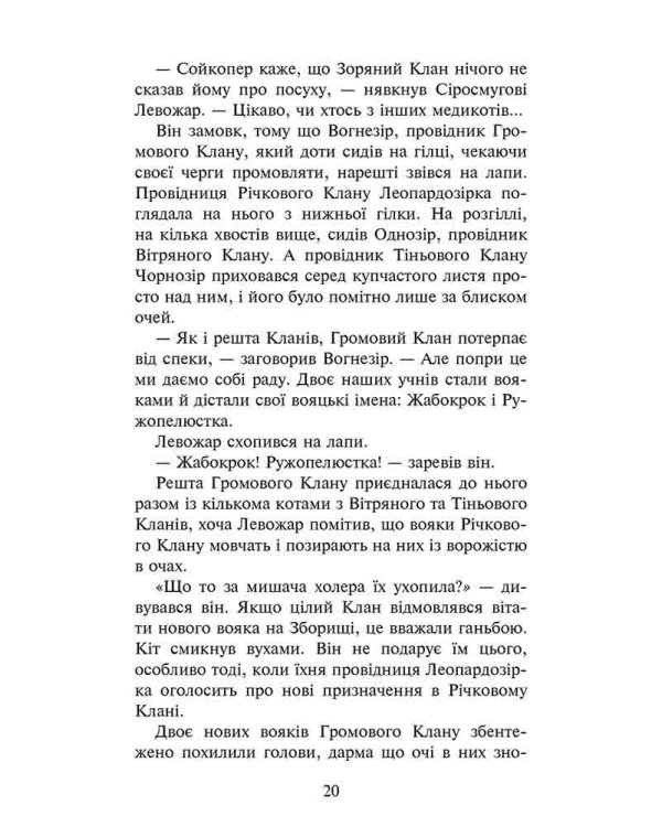 Коти-вояки. Четвертий новак (з пошкодженнями)