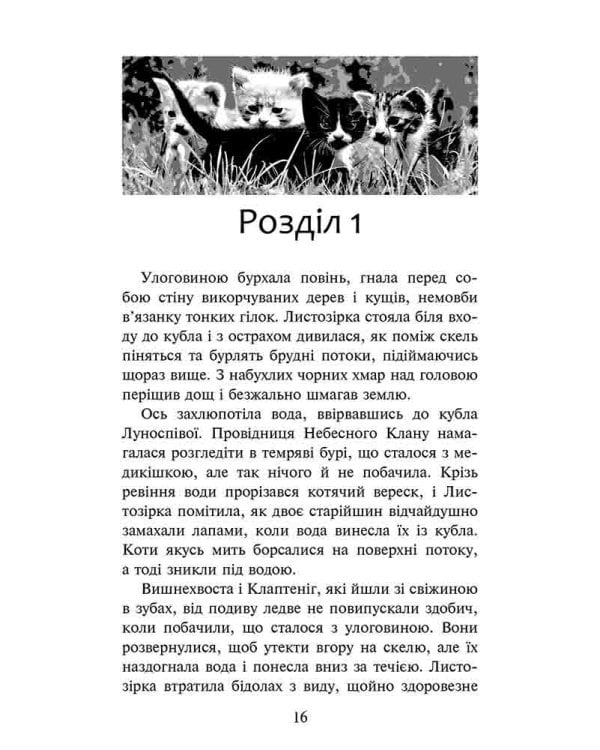 Коти-вояки. Доля Небесного Клану. Спеціальне видання