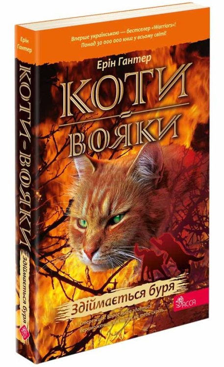 Коти-вояки. Книга 4. Здіймається буря (м'яка обкладинка)