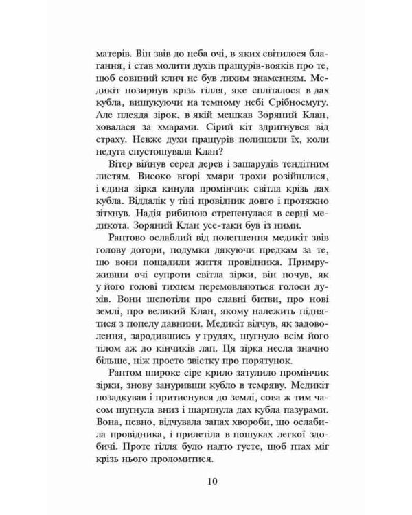 Коти-вояки. Книга 4. Здіймається буря