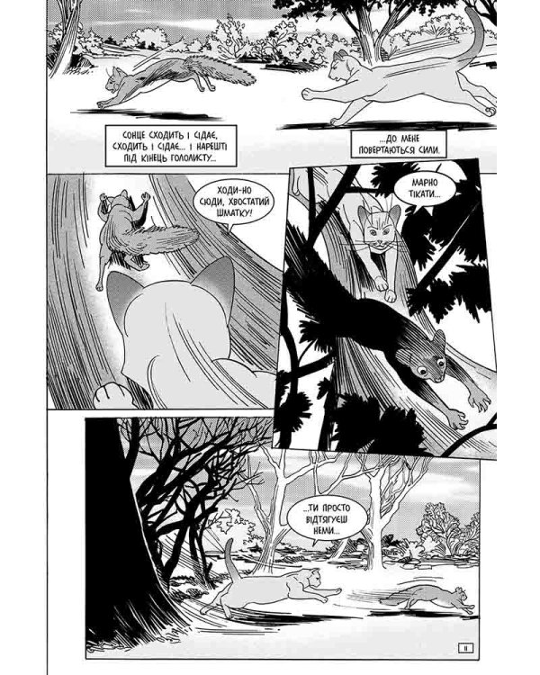 Коти-вояки. Манґа 7. Тигрозір і Саша. Повернення до Кланів