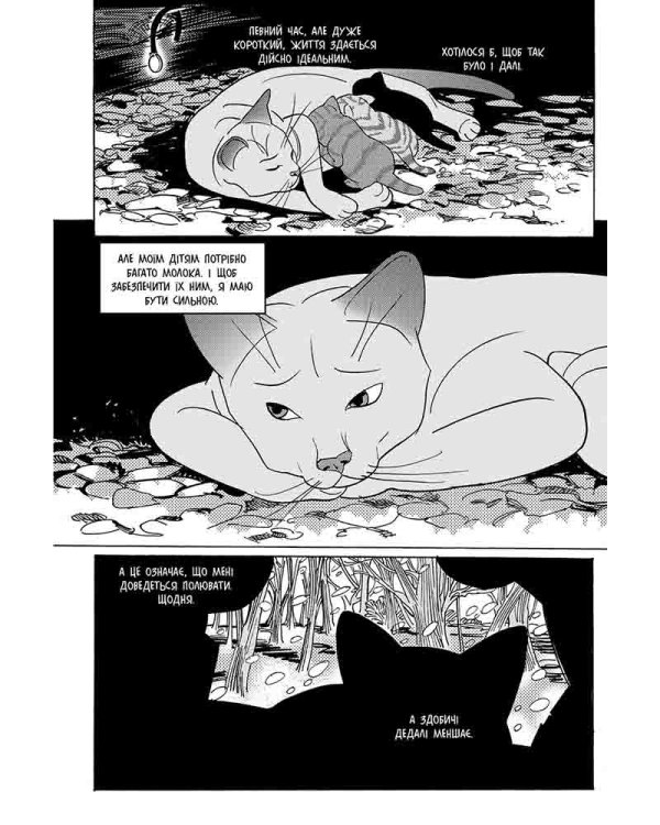 Коти-вояки. Манґа 7. Тигрозір і Саша. Повернення до Кланів