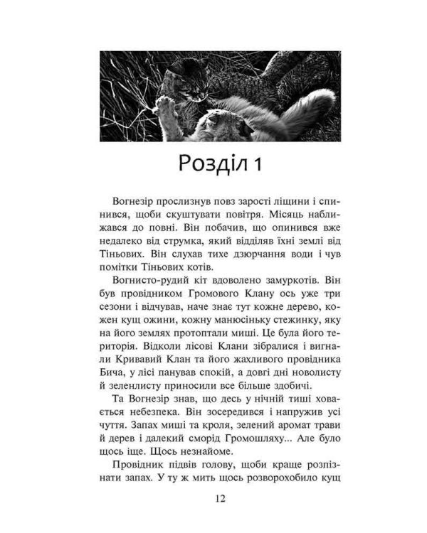 Коти-вояки. Шлях Вогнезора. Спеціальне видання