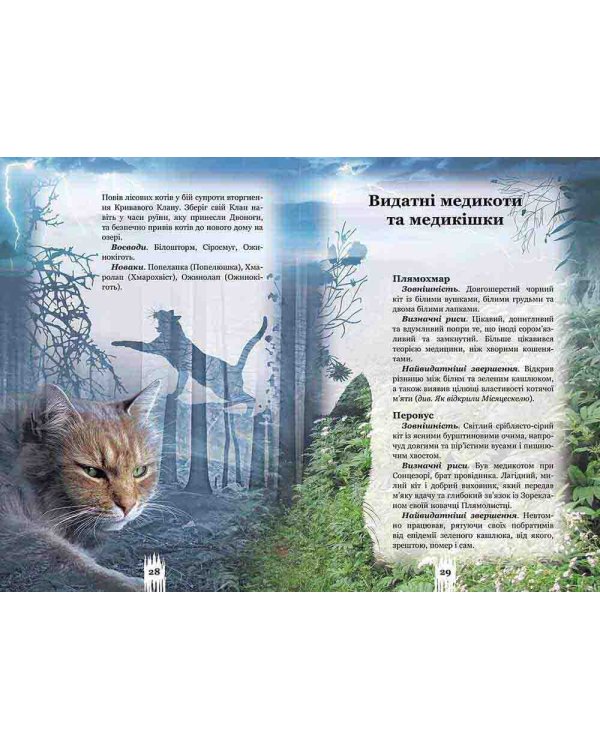 Коти-вояки. Таємниці Кланів. Путівник по серії