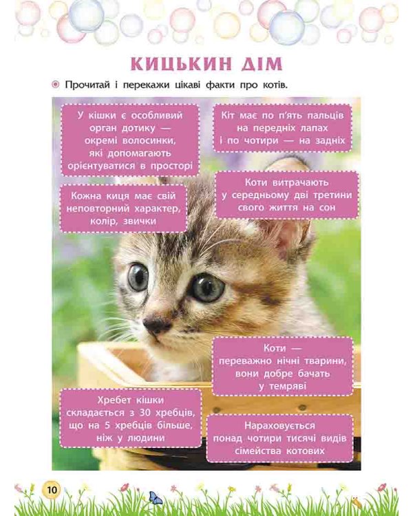 Прокачай літо. Зустрічай 2 клас