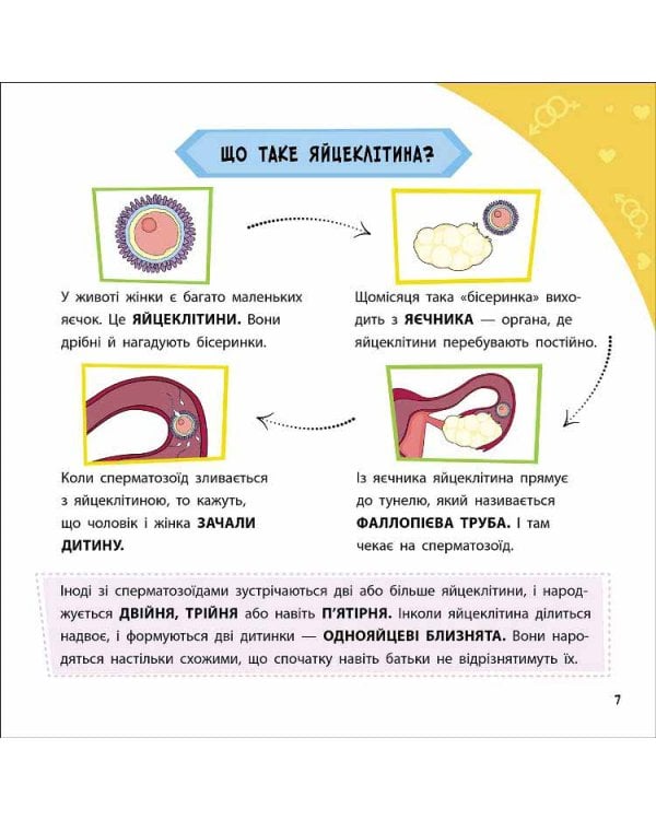 Просто про науку. Як ми з'являємося на світ
