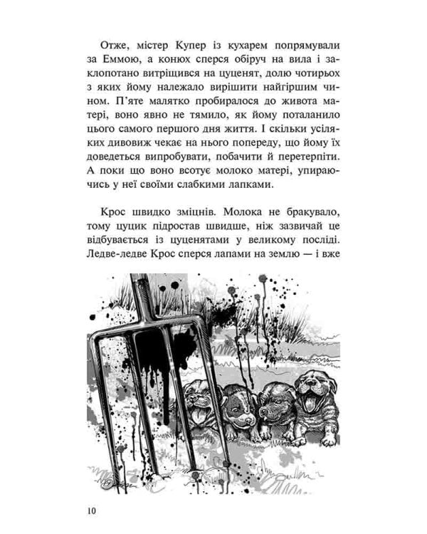 Пригоди Містера Кроса. Неймовірна подорож собаки-мандрівника