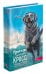 Пригоди Містера Кроса. Неймовірна подорож собаки-мандрівника