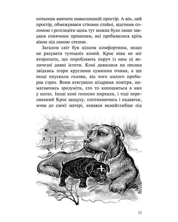 Пригоди Містера Кроса. Неймовірна подорож собаки-мандрівника