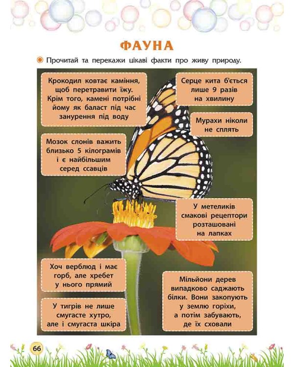 Секрети знань. Зустрічай 4 клас