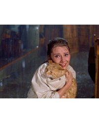 Постер. Лучшие кинокадры. Завтрак у Тиффани. Холли Галайтли с Котом под дождём Одри Хепбёрн и Оранджи. Формат А3.