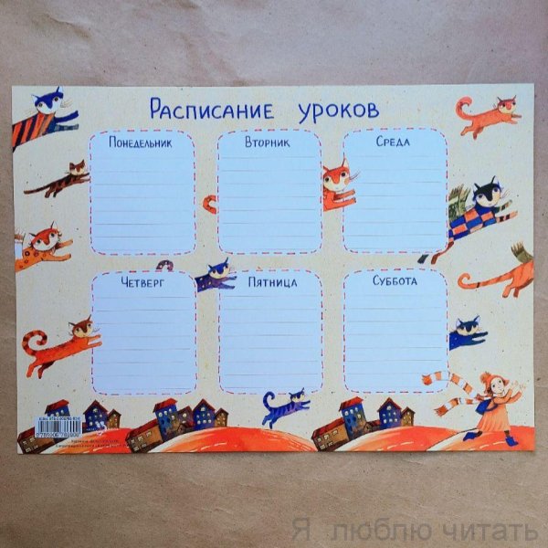 Расписание уроков «Летающие коты» А4
