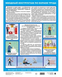 Вводный инструктаж по охране труда. Наглядно-оформительский плакат.-М.:Проспект,2025.