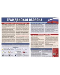 Гражданская оборона. Наглядно-оформительский плакат.-М.:Проспект,2025.