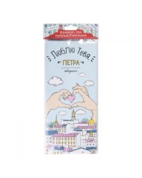 Конверт путешественника Петра творенье для документов, из ПВХ / 20,5х22см арт.77112